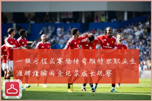 一级方程式赛场传奇维特尔职业生涯辉煌瞬间全记录成长观察