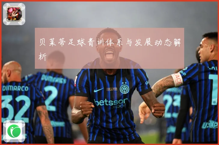 贝莱蒂足球青训体系与发展动态解析