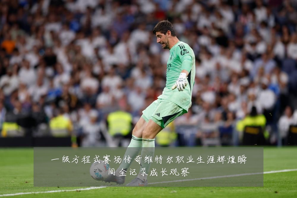 一级方程式赛场传奇维特尔职业生涯辉煌瞬间全记录成长观察